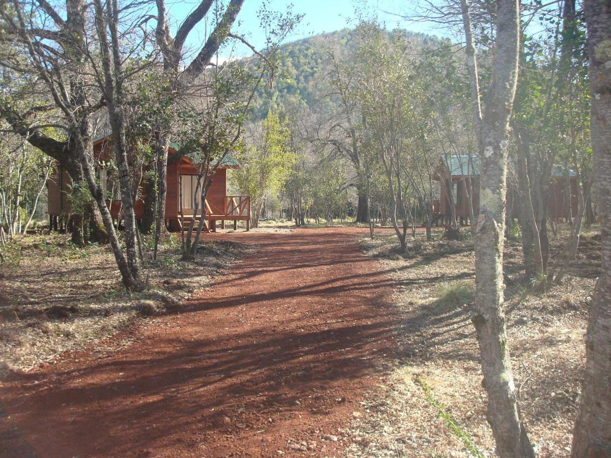 Cabanas Roble Quemado Las Trancas Habitación foto