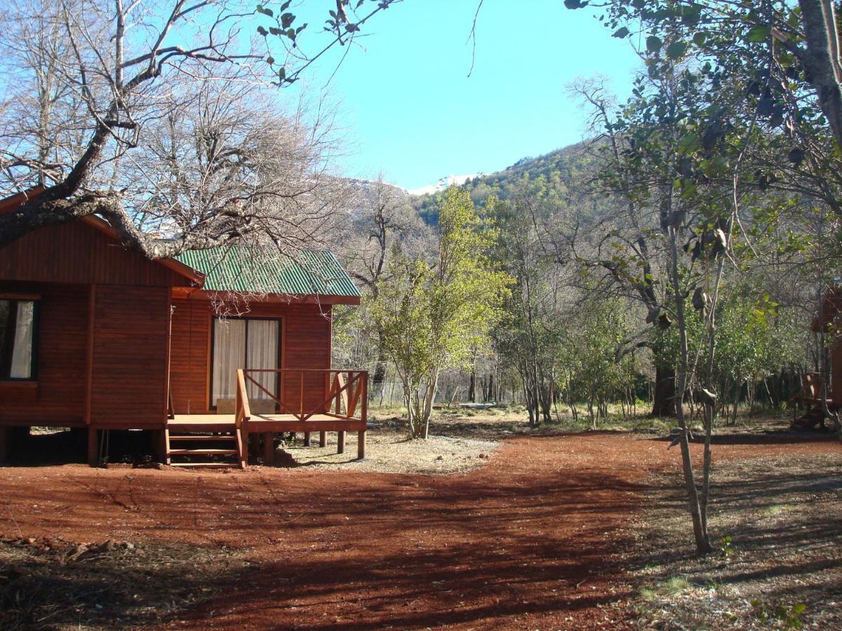 Cabanas Roble Quemado Las Trancas Habitación foto