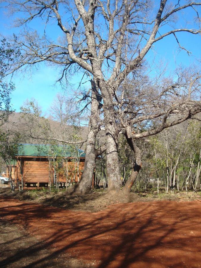 Cabanas Roble Quemado Las Trancas Habitación foto